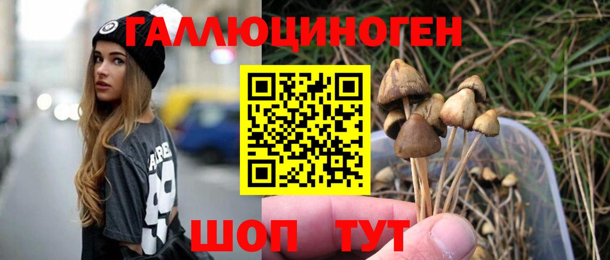 Галлюциногенные грибы Psilocybe Михайловка